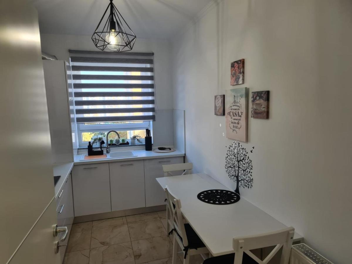 Oscar House Appartement Braşov Buitenkant foto